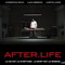 AFTER LIFE (2009)